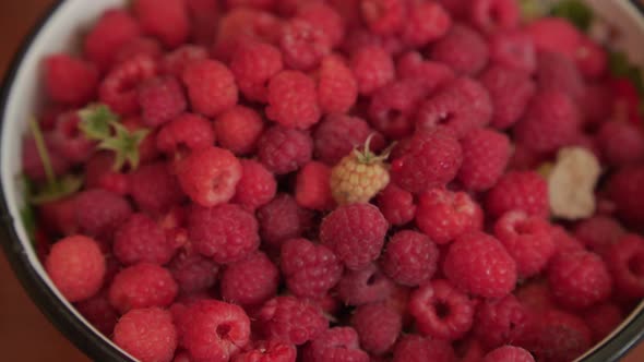 Harvest Red Raspberries in Bowl