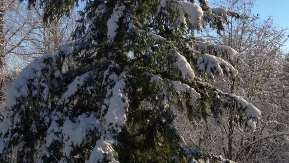 Ariel footage of snow covered landscapes. alt