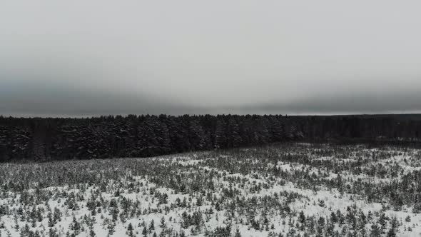 Aerial view of the snowy forest. alt
