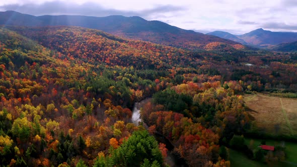 Aerial flythrough of Winding Road Through Autumn Trees with Fall Colors in New England