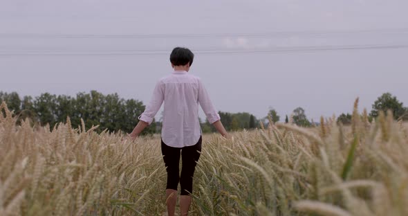 Movement Back Woman Field Wheat She Takes Steps Touches Spikelets Hands alt