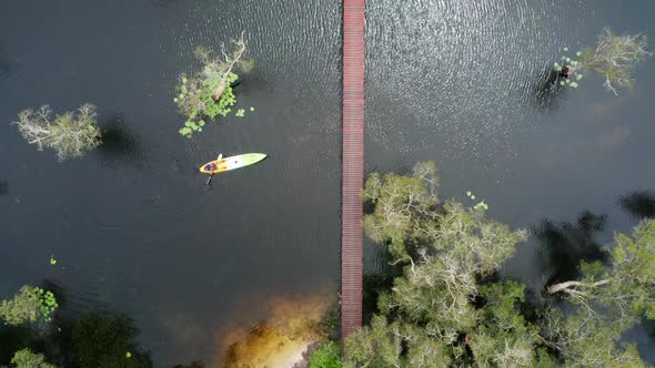 Tourists Canoe or kayak in mangrove forests at Rayong Botanical, Thailand.