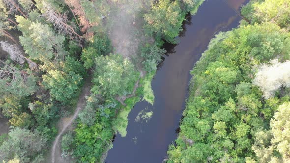 Aerial View of Riverbed Between Pine Forest. River Near Tops of Green Trees alt