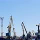 Harbor Cranes in Transport Seaport - VideoHive Item for Sale