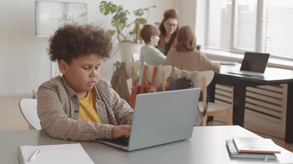 Mixed-Race Boy Using Laptop in Classroom alt