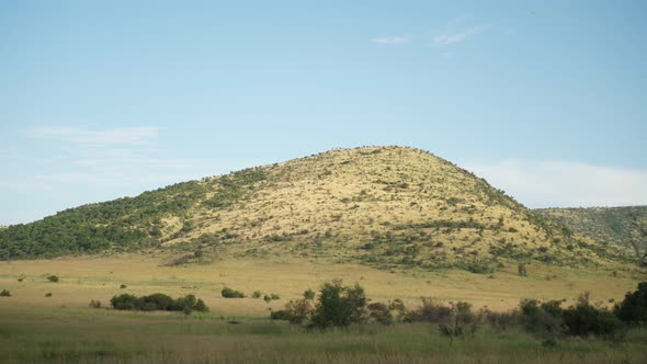 beautiful landscape with birds passing by in Pilanesberg National Park in South Africa alt