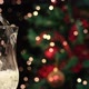 Pouring Champagne for Christmas - VideoHive Item for Sale