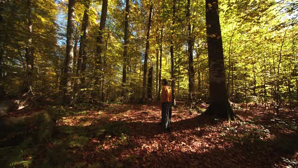 Walking Pretty Girl in the Scenic Autumn Forest Covered with Fallen Leaves and Golden Sunrays