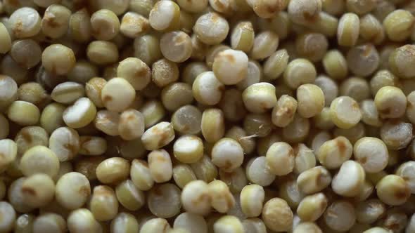 Rotation Macro Quinoa Seeds alt