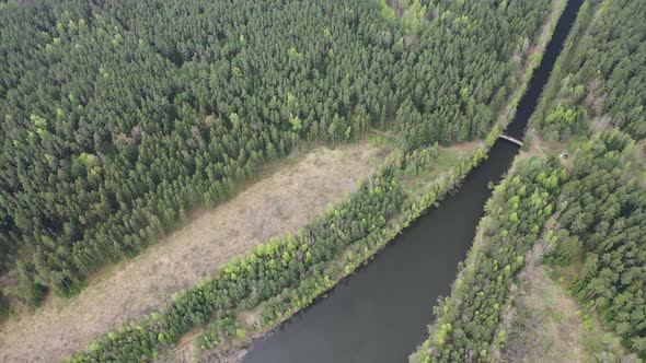 Top View of a River and Bridge in a Forest in Eastern Europe alt