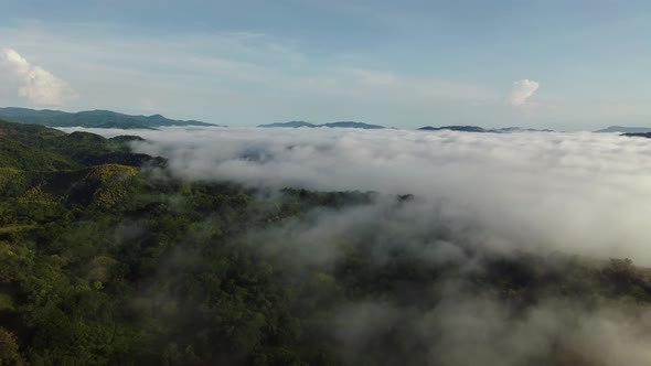 South American rainforest covered with low clouds in misty environment. Aerial perspective alt