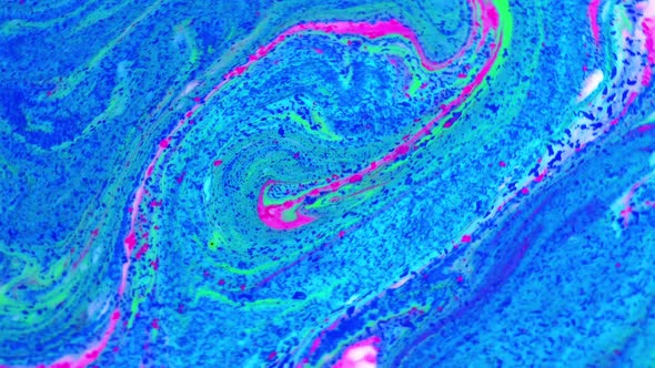 Abstract Color Paint Swirling Liquid Explosion alt