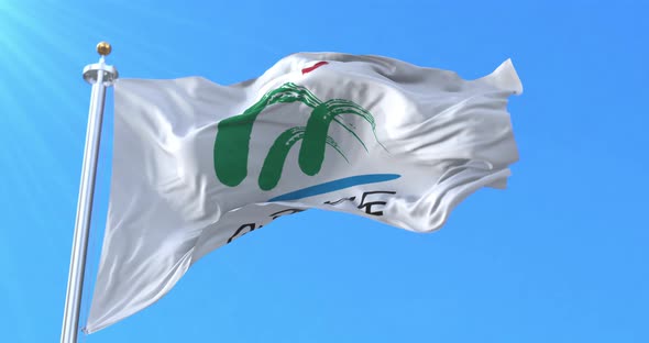 Flag of North Chungcheong, South Korea alt