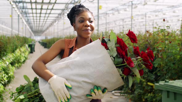 African American Woman Walking with Roses in Flower Greenhouse alt