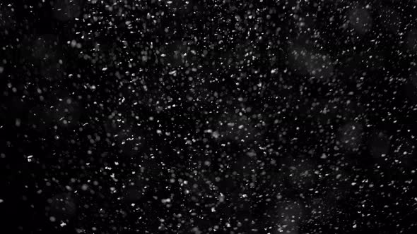 Super Slow Motion Shot of Real Snowfall Isolated on Black Background at 1000 Fps alt