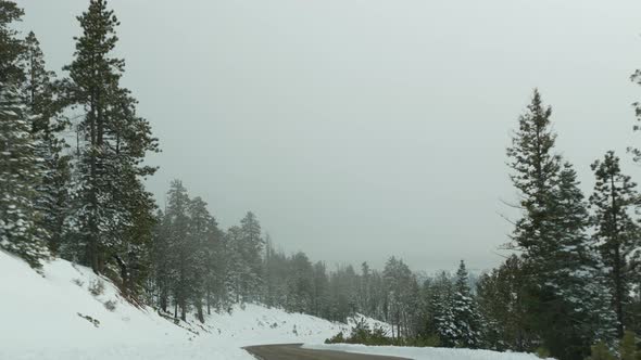 Snow and Fog in Wintry Forest Driving Auto Road Trip in Winter Utah USA