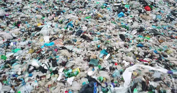 Australian Beaches are Contaminated with Plastic Waste an Environmental Disaster in the Oceans alt