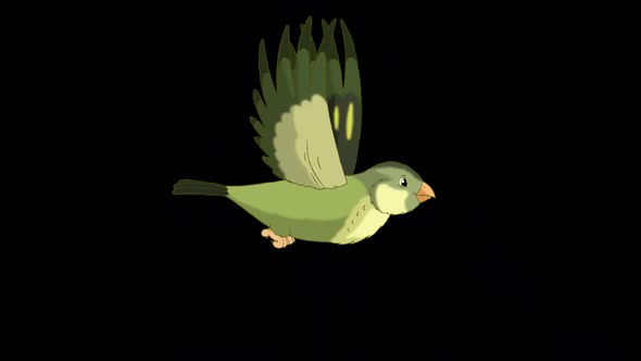Green wood warber bird flies alpha matte HD
