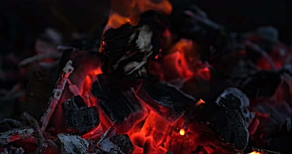 Fire embers burning coals