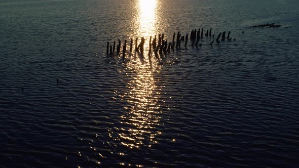 Calm Sea Surface Reflecting Bright Golden Sunset at Summer Evening Seascape View alt