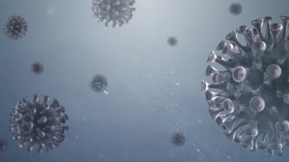 Corona Virus