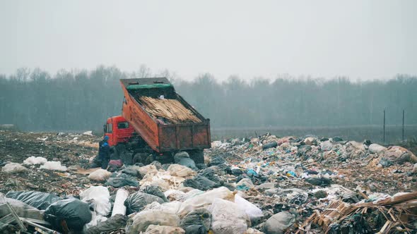 A Working Truck Unloading Trash on a Landfill alt