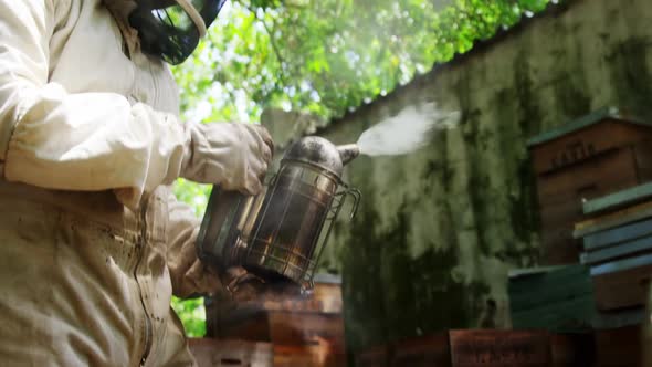 Beekeeper smoking the beehive using a hive smoker alt