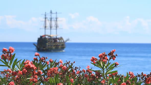 Flowers Of Oleander And Ship In Kemer, Turkey.