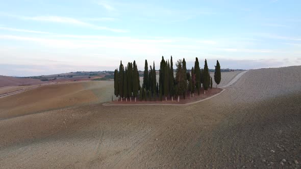 Cypress Trees and Rolling Hills, Val d'Orcia Tuscany Aerial View