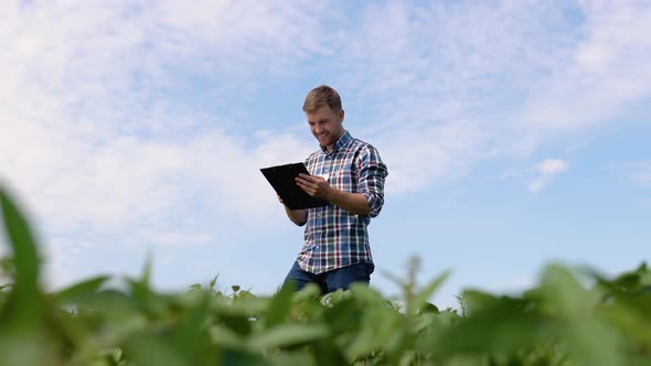 Agronomist Inspecting Soya Bean Crops Growing in the Farm Field alt