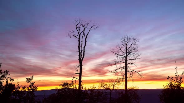 Sunrise time lapse of dead trees silhouetted on colorful sky alt