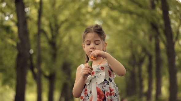 Girl Blowing Soap Bubbles. Family Having Fun In Park. Preschool Kid Leisure Outdoor Soap Bubble. alt