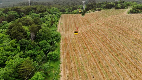 View on the Cable Car with a Rising Funicular Mountains and Green Forest alt