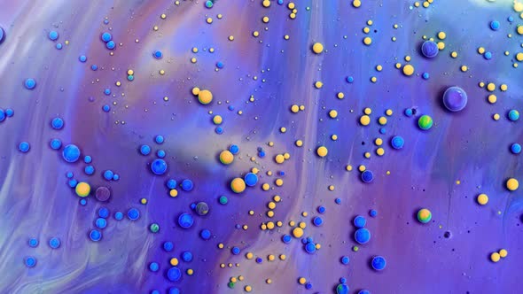 Bubble Liquid Floats in a Paint. Mixing of Paint, Oil and Milk. Gorgeous Colorful and Bright alt