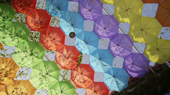 Multicolored Umbrellas in the Park of the City alt