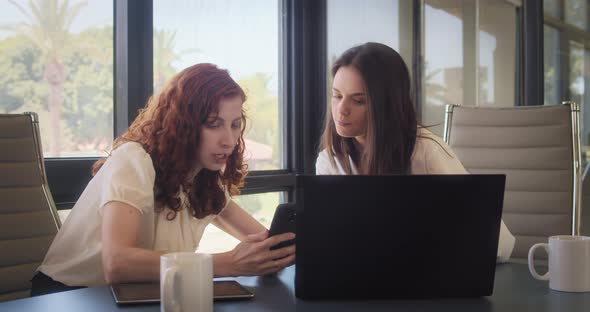 A young businesswoman sharing her project ideas with a colleague during a business meeting alt