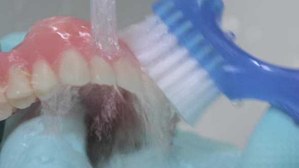 Closeup Shot Showing Brushing of Artificial Teeth with Running Water