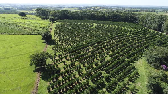 Rural landscape aerial view. Nature scenery alt
