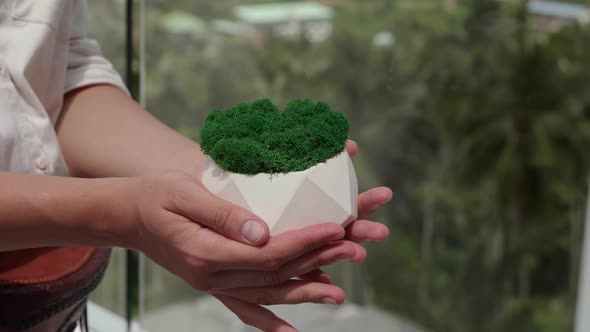 Hold Plaster Pot with Green Moss in Hand of Nature Background alt
