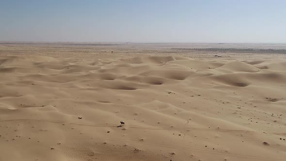 Aerial view of one person riding horse in the desert of Al Khatim in Abu Dhabi. alt