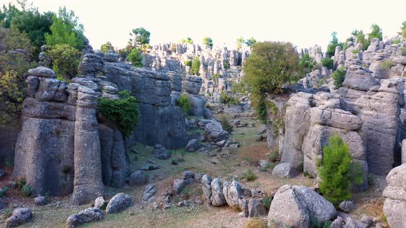 Landscape with Picturesque Rock Formations with Evergreen Trees on a Summer Day alt