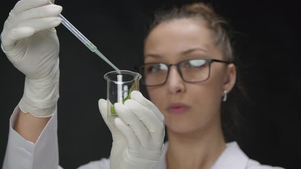 Researcher Drips Liquid Chemical Reagent From Pipette on Test Leaf of GMO Plant