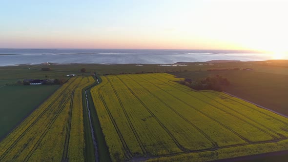 Aerial View of Farmers Field Landscape