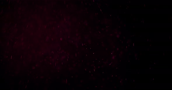 Sparkling Magical Dust Particles alt