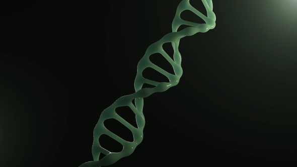 DNA