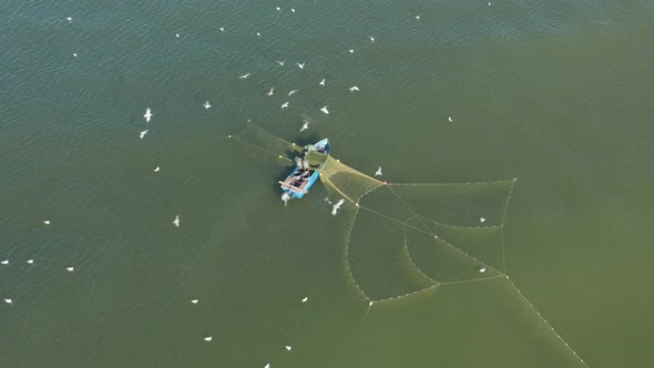 AERIAL: Fishermans Spread Nets in Water While Seagulls Trying to Catch Fish alt