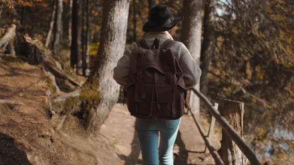Back View Woman Tourist Walks on Trail in Fall Forest on Sunny Autumn Day alt