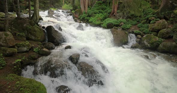 Mountain River in the Wood in Slow Motion alt