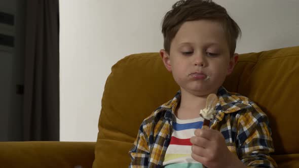 Little boy eating ice-cream on sofa at home