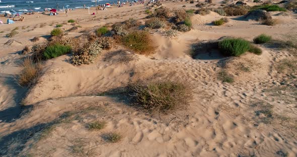 Drone Flies Low Over Dunes Overlooking Wild Beach and Toursit Enjoying of Summer alt